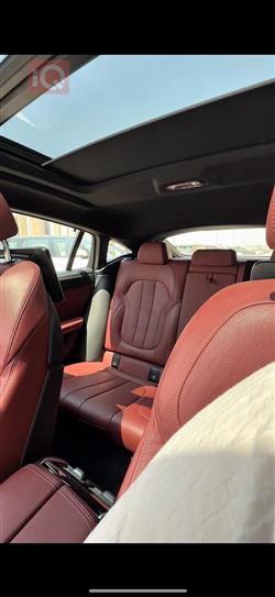 بي ام دبليو X6